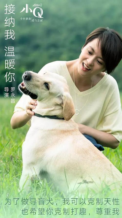 仿制韩国首尔大学毕业证